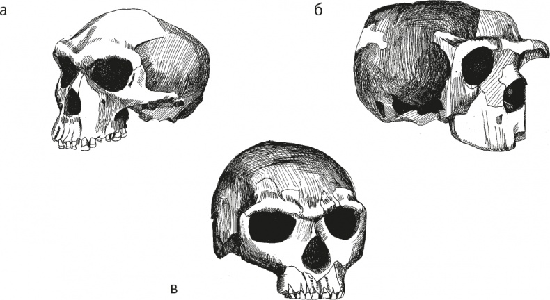 Иллюстрация к книге — Достающее звено. Книга 2. Люди [i_024.jpg]