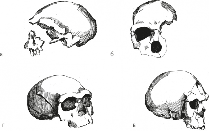 Иллюстрация к книге — Достающее звено. Книга 2. Люди [i_025.jpg]