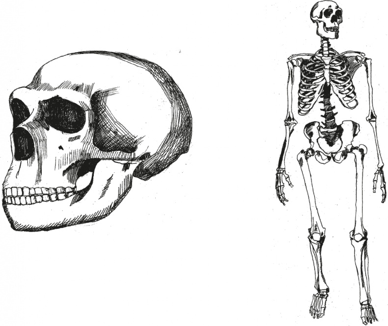 Иллюстрация к книге — Достающее звено. Книга 2. Люди [i_029.jpg]