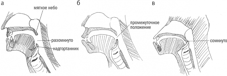 Иллюстрация к книге — Достающее звено. Книга 2. Люди [i_033.jpg]