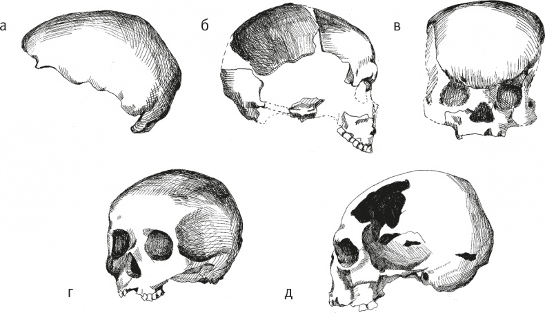 Иллюстрация к книге — Достающее звено. Книга 2. Люди [i_036.jpg]