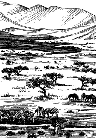 Иллюстрация к книге — Непослушное дитя биосферы. Беседы о поведении человека в компании птиц, зверей и детей [c01p07.jpg]