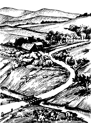 Иллюстрация к книге — Непослушное дитя биосферы. Беседы о поведении человека в компании птиц, зверей и детей [c01p08.jpg]