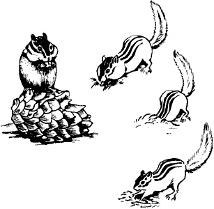 Иллюстрация к книге — Непослушное дитя биосферы. Беседы о поведении человека в компании птиц, зверей и детей [c01p09.jpg]