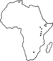 Иллюстрация к книге — Непослушное дитя биосферы. Беседы о поведении человека в компании птиц, зверей и детей [c02p01.jpg]