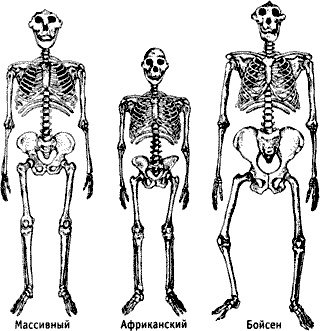 Иллюстрация к книге — Непослушное дитя биосферы. Беседы о поведении человека в компании птиц, зверей и детей [c02p08.jpg]