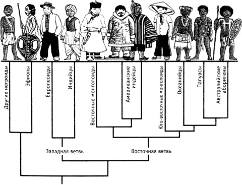 Иллюстрация к книге — Непослушное дитя биосферы. Беседы о поведении человека в компании птиц, зверей и детей [c02p12.jpg]