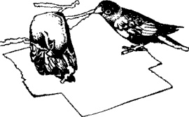 Иллюстрация к книге — Непослушное дитя биосферы. Беседы о поведении человека в компании птиц, зверей и детей [c02p20.jpg]