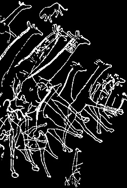 Иллюстрация к книге — Непослушное дитя биосферы. Беседы о поведении человека в компании птиц, зверей и детей [c02p28.jpg]