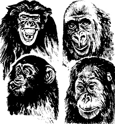 Иллюстрация к книге — Непослушное дитя биосферы. Беседы о поведении человека в компании птиц, зверей и детей [c03p01.jpg]