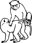 Иллюстрация к книге — Непослушное дитя биосферы. Беседы о поведении человека в компании птиц, зверей и детей [c03p13.jpg]