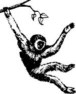 Иллюстрация к книге — Непослушное дитя биосферы. Беседы о поведении человека в компании птиц, зверей и детей [c03p14.jpg]