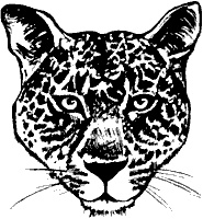 Иллюстрация к книге — Непослушное дитя биосферы. Беседы о поведении человека в компании птиц, зверей и детей [c03p18.jpg]