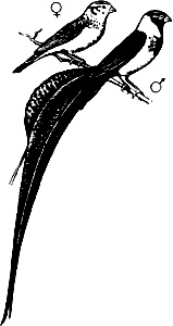 Иллюстрация к книге — Непослушное дитя биосферы. Беседы о поведении человека в компании птиц, зверей и детей [c05p13.jpg]