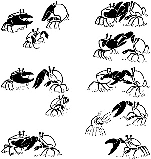 Иллюстрация к книге — Непослушное дитя биосферы. Беседы о поведении человека в компании птиц, зверей и детей [c05p21.jpg]