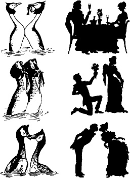 Иллюстрация к книге — Непослушное дитя биосферы. Беседы о поведении человека в компании птиц, зверей и детей [c05p27.jpg]