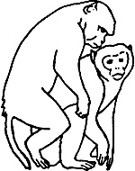 Иллюстрация к книге — Непослушное дитя биосферы. Беседы о поведении человека в компании птиц, зверей и детей [c06p16.jpg]