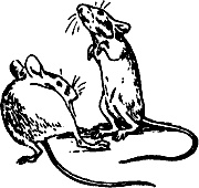 Иллюстрация к книге — Непослушное дитя биосферы. Беседы о поведении человека в компании птиц, зверей и детей [c07p02.jpg]