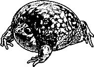 Иллюстрация к книге — Непослушное дитя биосферы. Беседы о поведении человека в компании птиц, зверей и детей [c07p06.jpg]