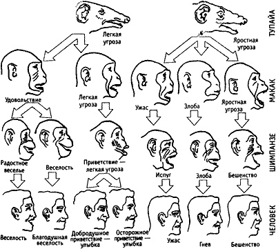 Иллюстрация к книге — Непослушное дитя биосферы. Беседы о поведении человека в компании птиц, зверей и детей [c07p26.jpg]