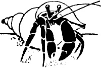 Иллюстрация к книге — Непослушное дитя биосферы. Беседы о поведении человека в компании птиц, зверей и детей [c07p49.jpg]