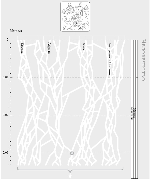 Иллюстрация к книге — Рассказ предка. Паломничество к истокам жизни [i_001.jpg]