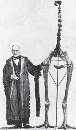 Иллюстрация к книге — Рассказ предка. Паломничество к истокам жизни [i_041.jpg]