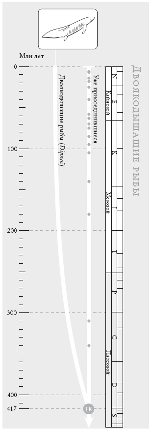 Иллюстрация к книге — Рассказ предка. Паломничество к истокам жизни [i_045.jpg]