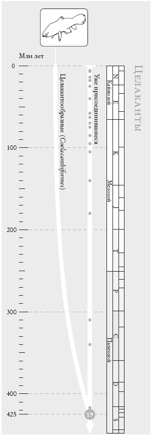 Иллюстрация к книге — Рассказ предка. Паломничество к истокам жизни [i_047.jpg]