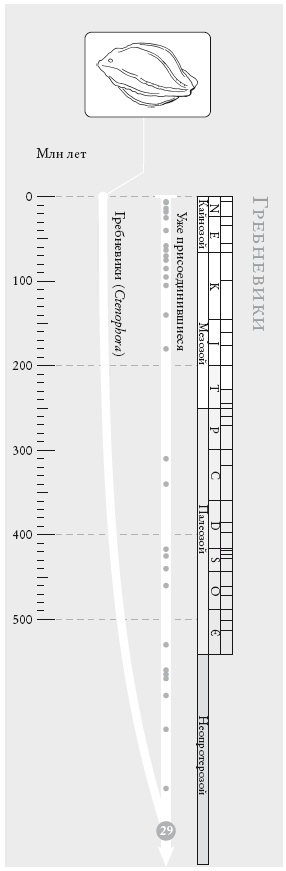 Иллюстрация к книге — Рассказ предка. Паломничество к истокам жизни [i_068.jpg]