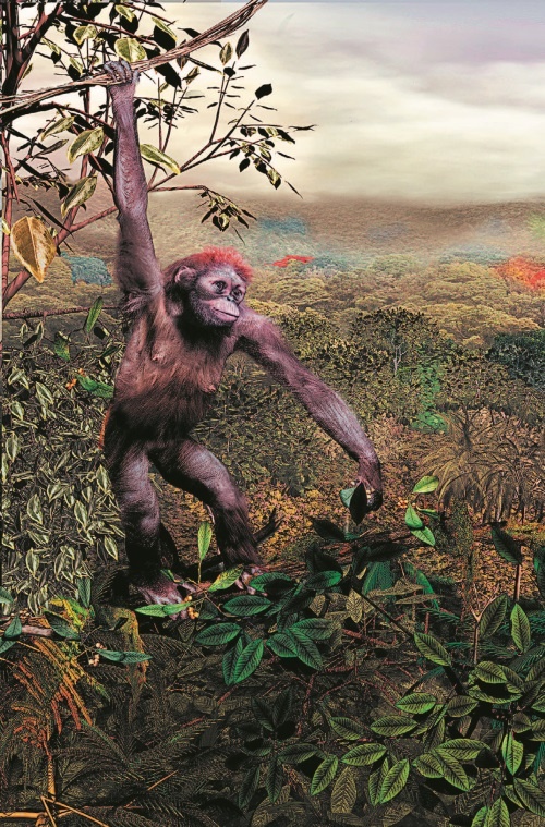 Иллюстрация к книге — Рассказ предка. Паломничество к истокам жизни [i_093.jpg]