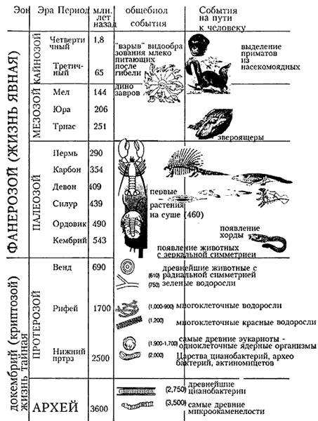 Иллюстрация к книге — Эволюция для всех, или Путь кентавра [_01.jpg]