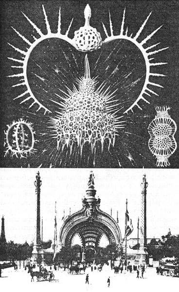 Иллюстрация к книге — Эволюция для всех, или Путь кентавра [_02.jpg]
