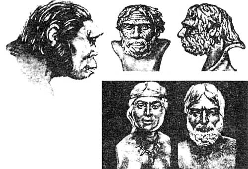 Иллюстрация к книге — Эволюция для всех, или Путь кентавра [_21.jpg]