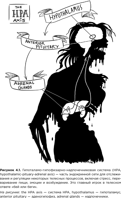 Иллюстрация к книге — Мозг зомби. Научный подход к поведению ходячих мертвецов [i_011.jpg]