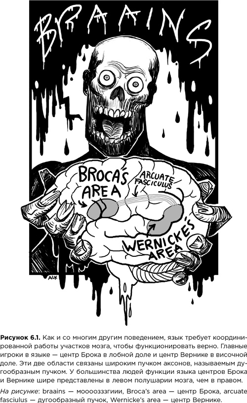 Иллюстрация к книге — Мозг зомби. Научный подход к поведению ходячих мертвецов [i_016.jpg]
