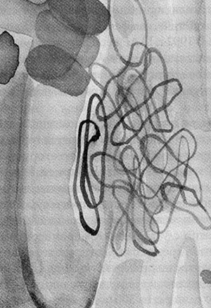 Иллюстрация к книге — Энергия, секс, самоубийство. Митохондрии и смысл жизни [i_020.jpg]