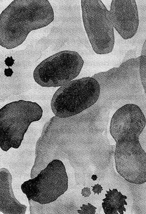 Иллюстрация к книге — Энергия, секс, самоубийство. Митохондрии и смысл жизни [i_021.jpg]