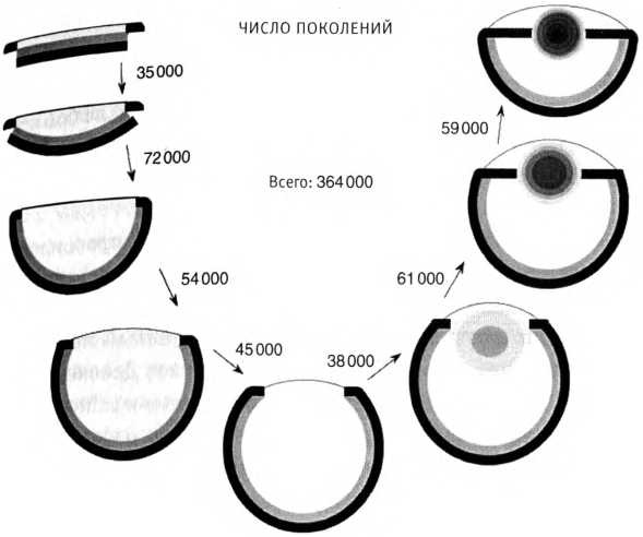 Иллюстрация к книге — Лестница жизни. Десять великих изобретений эволюции [img_22.jpg]