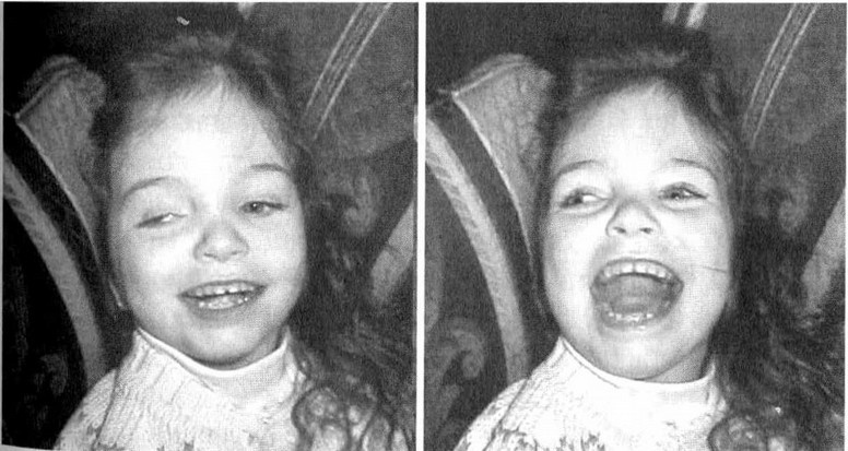 Иллюстрация к книге — Лестница жизни. Десять великих изобретений эволюции [img_31.jpg]