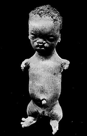 Иллюстрация к книге — Мутанты [i_003.jpg]