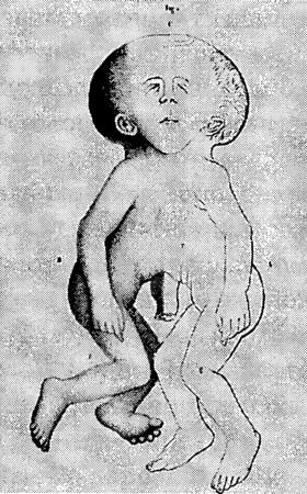 Иллюстрация к книге — Мутанты [i_008.jpg]