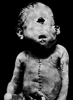 Иллюстрация к книге — Мутанты [i_015.jpg]