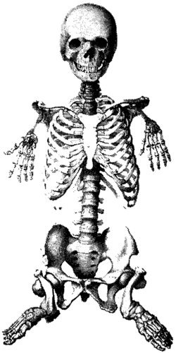 Иллюстрация к книге — Мутанты [i_022.jpg]