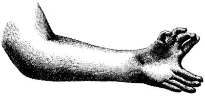 Иллюстрация к книге — Мутанты [i_026.jpg]