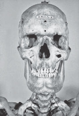 Иллюстрация к книге — Мутанты [i_036.jpg]