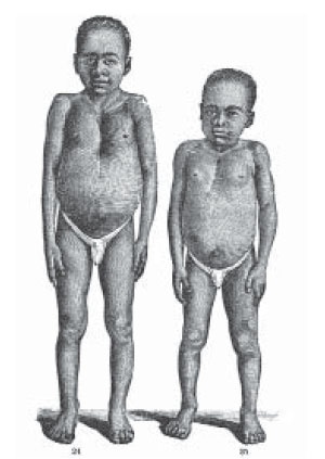 Иллюстрация к книге — Мутанты [i_039.jpg]