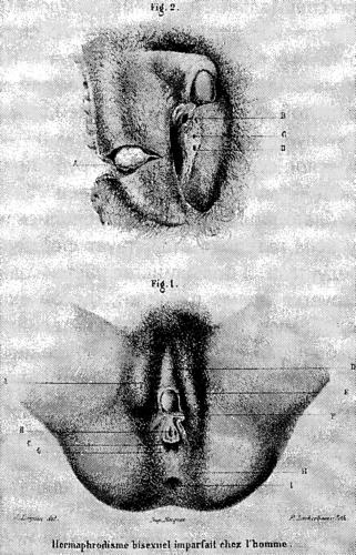 Иллюстрация к книге — Мутанты [i_047.jpg]