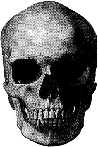 Иллюстрация к книге — Мутанты [i_059.jpg]