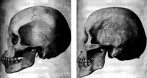 Иллюстрация к книге — Мутанты [i_060.jpg]